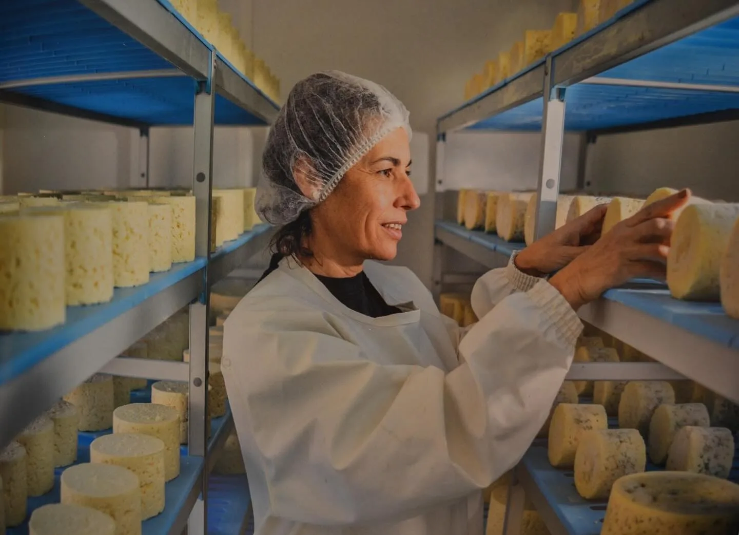 Trabajadora de quesería colocando quesos frescos